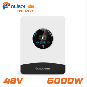 INVERSOR GOSPOWER 6000W 48V